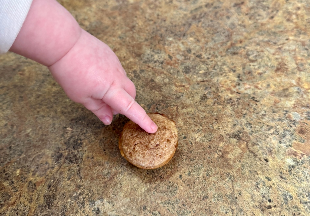 Delicious Fresh Milled Mini Muffins: Your Go-To&nbsp;Recipe